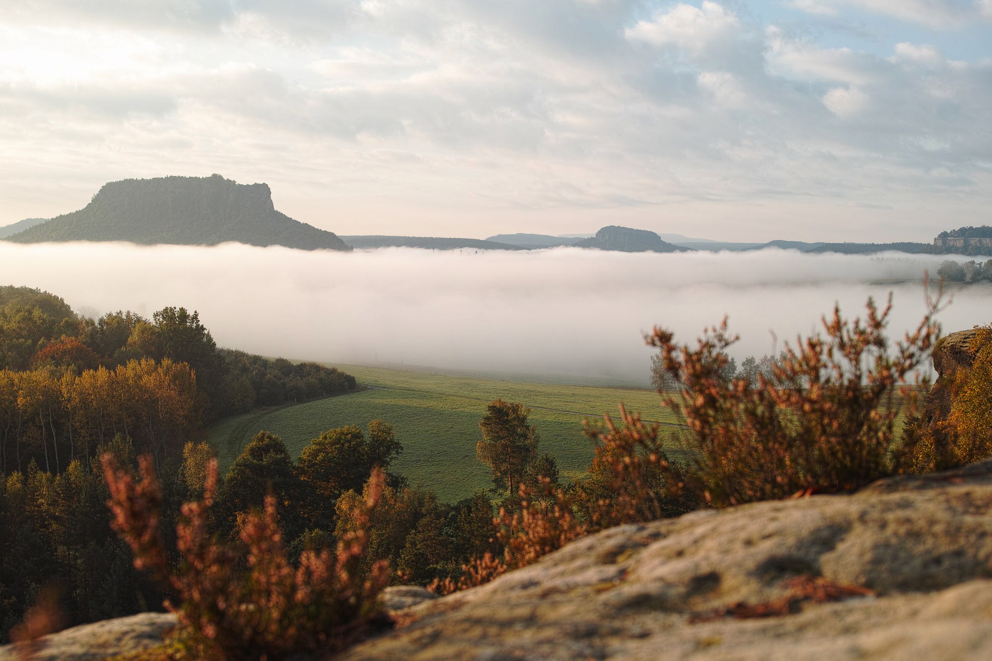 Lilienstein im Nebel
