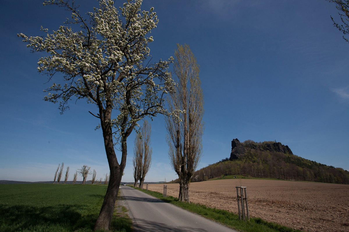Blick über die Sandmannstraße zum Lilienstein